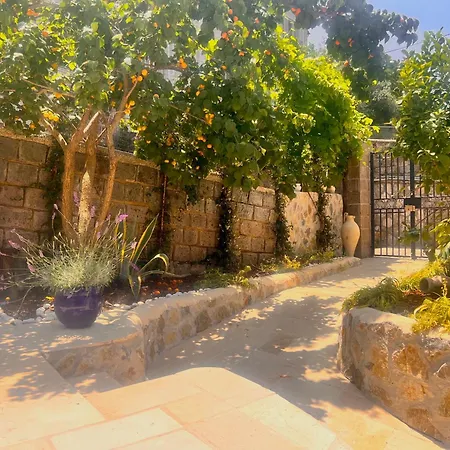 Casa Tua - Countryhouse- 4* Σορέντο